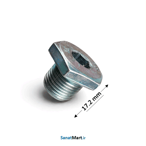 پیچ تخلیه کارتل پژو